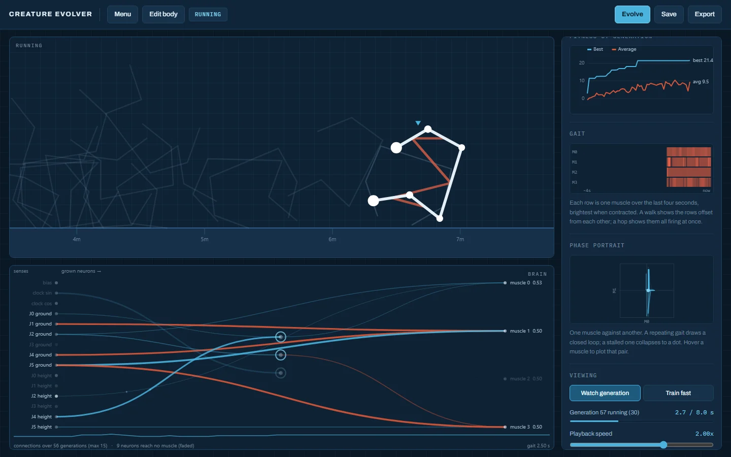 The gait panel showing muscle timing